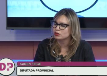 Buscan reforzar controles para combatir las adopciones ilegales