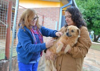 El Programa de Asistencia Solidaria Interior llegó hoy a Corpus