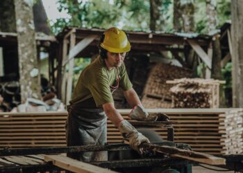 Siguen los créditos con tasa bonificada para el sector yerbatero y forestal