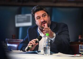 «La Ley Bases es una herramienta crucial para el Presidente, pero no resuelve los problemas de fondo»