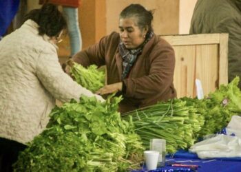 Alimentos frescos, de la chacra a la mesa