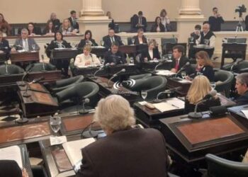 Tenso cruce en la sesión de diputados de Corrientes por el caso Loan Peña
