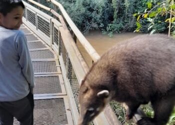 “Sea un turista responsable con la fauna salvaje”