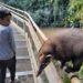 “Sea un turista responsable con la fauna salvaje”