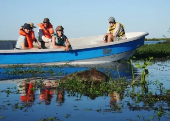 Vacaciones en Corrientes: la ocupación hotelera fue del 76 por ciento