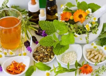 Lanzan un curso-taller gratuito para la Producción Sostenible de Plantas Medicinales