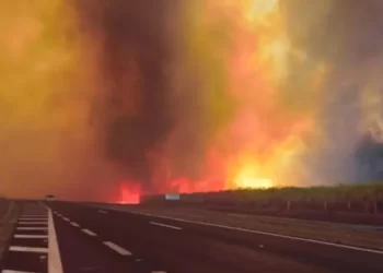 Autoridades brasileñas afirman que incendios en el estado de Sao Paulo fueron apagados