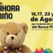 En agosto entra en vigencia en Misiones el programa Ahora Niño con reintegro y cuotas sin interés