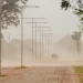 Escasea el agua en el oeste de la provincia de Chaco