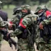 Colombia: Ejército de Liberación Nacional levanta paro armado en el Chocó 