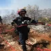 La Unión Europea anuncia envío de ayuda a Grecia para hacer frente a incendios