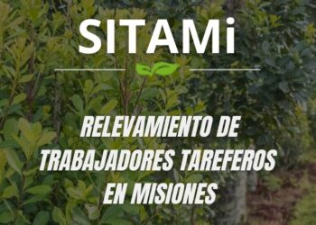 Comenzó el relevamiento de trabajadores tareferos