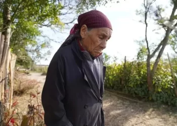 Caso Loan: se postergó la declaración de la abuela Catalina