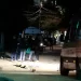 Asesinan a líder social en Colombia