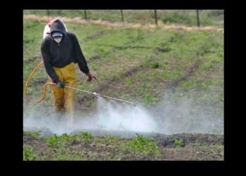 Gervasoni defiende la ley anti-glifosato en Misiones y critica la desinformación opositora