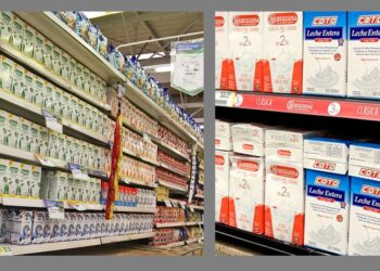 El consumo de lácteos en Argentina en caída libre