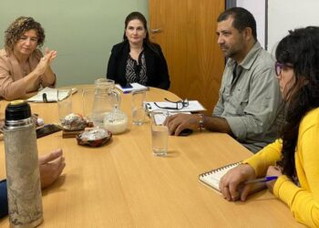 Impulsan la restauración de la Selva Misionera en el marco del proyecto ProCLIM-AR