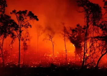 Incendios en Brasil destruyen equivalente a más de 10.000 hectáreas en menos de tres días
