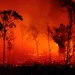 Incendios en Brasil destruyen equivalente a más de 10.000 hectáreas en menos de tres días