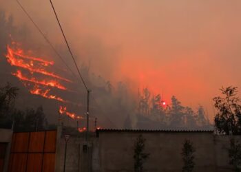 Autoridades de Ecuador afirman que el incendio forestal en Quito fue provocado