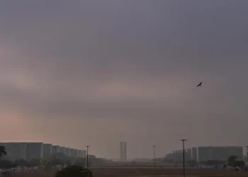 Universidad de Brasilia suspende clases presenciales tras incendio en el Parque Nacional de esa ciudad