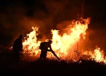 Los incendios en Brasil en lo que va de año ya superan todos los de 2023