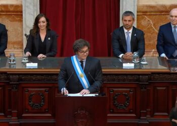 Proyecciones y prioridades del Presupuesto de Milei, que retira al Estado de su función social