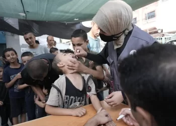 OMS condena bombardeos en zonas humanitarias designadas en Gaza