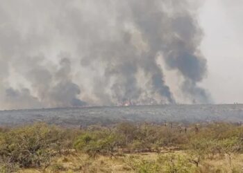 Bomberos combaten varios focos de incendio en Córdoba