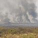 Bomberos combaten varios focos de incendio en Córdoba