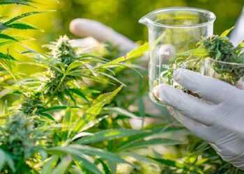 El Parque de la Salud habilitó un nuevo consultorio de Cannabis Medicinal