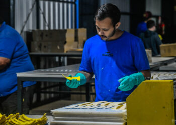 La semana de la Industria, con varias actividades en Misiones