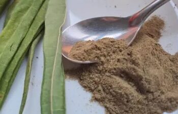 Premian propuesta de la Universidad del Nordeste de un alimento a base de follaje de mandioca