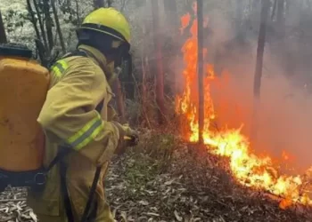 En lo que va del año murieron 15 personas en incendios forestales en Perú