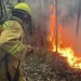 En lo que va del año murieron 15 personas en incendios forestales en Perú