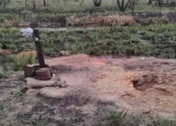 Caso Loan: abogado de la familia pidió inspeccionar una tumba en un cementerio rural