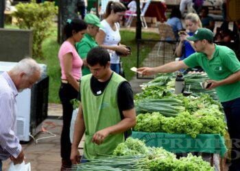 Se viene una nueva edición de la Fiesta Provincial de las Ferias Francas de Misiones