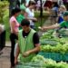 Se viene una nueva edición de la Fiesta Provincial de las Ferias Francas de Misiones