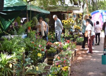 Fuerte convocatoria de las Fiestas Nacional de la Orquídea y Provincial de la Flor