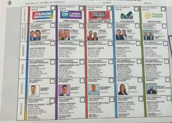 Cómo será la boleta única de papel y a partir de cuándo se usará