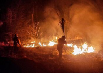 Bolivia declara Situación de Desastre Nacional por incendios en el oriente de la nación