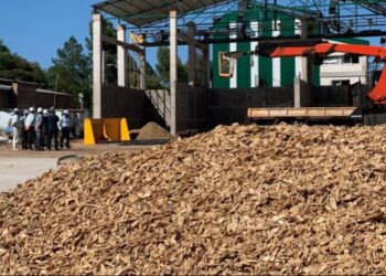 Misiones, referente en energía renovable en el país