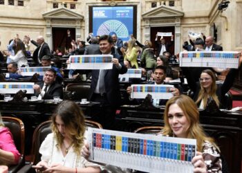 Diputados misioneros acompañaron el voto de la Boleta Única de Papel