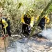 Bomberos venezolanos rescatan 100 especies de fauna silvestre durante incendios en Bolivia