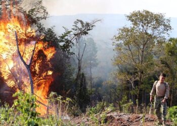 «El hombre genera las crisis del clima»