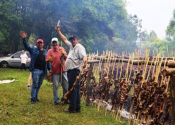 Passalacqua destacó las fiestas populares