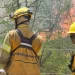 Alarma por incendios en Córdoba: hay un foco activo y se esperan vientos y altas temperaturas