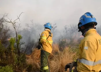 Continúan activos dos focos  de incendios en Córdoba