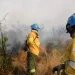 Continúan activos dos focos  de incendios en Córdoba
