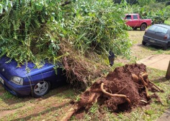 Un posible tornado azotó Montecarlo